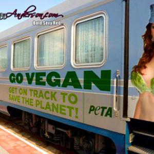 PETA stunt for Amtrak as a part of a pitch to wrap their train cars