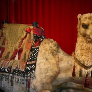 BESS the camel created for Madame Tussauds Hollywood.