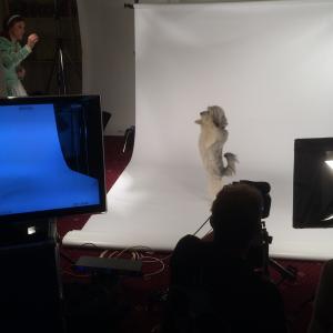Shooting TV ad for Bristol Hippodrome panto with Ashley and Pudsey