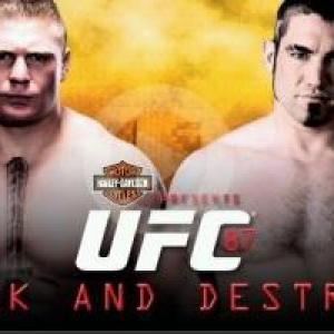 Billboard UFC 87 Seek and Destroy