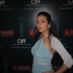 The International Cairo Film Festival 2007