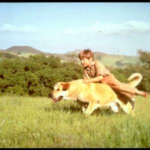 Still of Kevin Corcoran in Old Yeller 1957