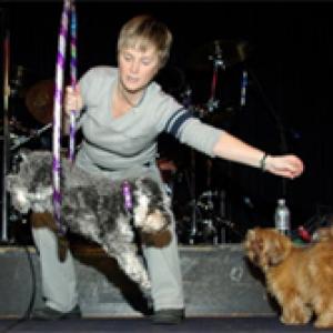 Beverly Ulbrich, The Pooch Coach, performing tricks on stage with her dog for charity.
