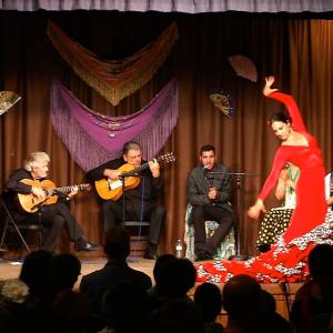Moonlighting as a flamenco dancer in Inesita's show- viva el flamenco!