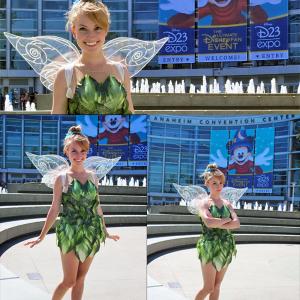The Ultimate Disney Fan Convention : D23 Expo
