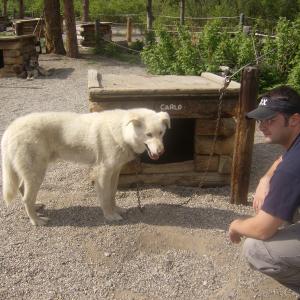 Paying my respects to the sled dogs in Alaska
