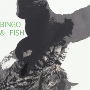 Bingo  Fish