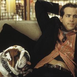 Still of Ryan Reynolds in Van Wilder (2002)
