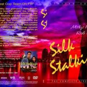 SILK STALKINGS ~ DARCY ANDRADE Photo is not me, however I was featured in many episodes of this TV Series