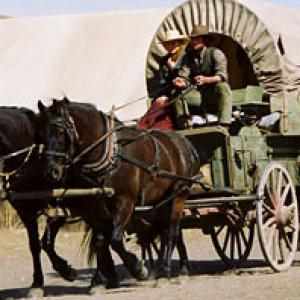 One of three identical wagons that I built for Little House on the Prairie Disney 2005