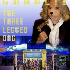 Charlie The Three Legged Dog