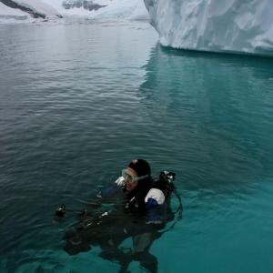 Hilaire Brosio Shooting for Oceanwide Expeditions in Antarctica. Yes, the water is cold. It is 32 degrees.