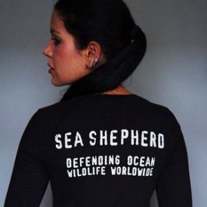 SeaShepherdUSA SeaShepherdUK Raising Awareness for Sea Life Dolphins Whales Sea Lions Walruses Sea Turtles Manatees Sharks in the Oceans