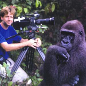 Andrew Young filming gorillas in Congo Republic.