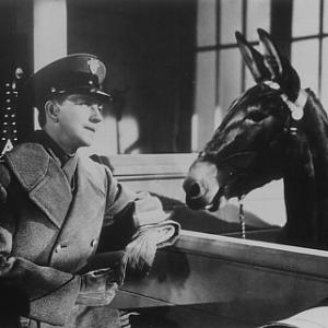 Still of Donald OConnor and Francis the Talking Mule in Francis Goes to West Point 1952