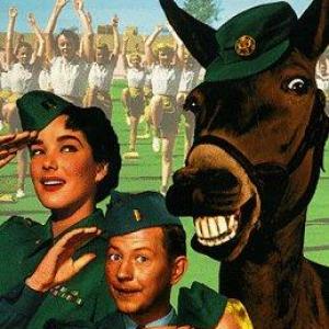 Julie Adams, Donald O'Connor, Mamie Van Doren and Francis the Talking Mule in Francis Joins the WACS (1954)