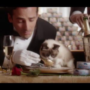 Michael Patrick Denis and Grumpy Cat in Grumpy Cats Worst Christmas Ever 2014
