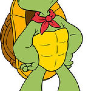 Graeme voiced Franklin Turtle on seasons 1 and 2 of 