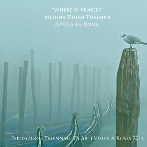 Rome Triennale  Exhibition Where is Venice? by Mediha Didem Tremen