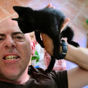 Under attack by an aggressive kitten at a hostel in Budva Montenegro