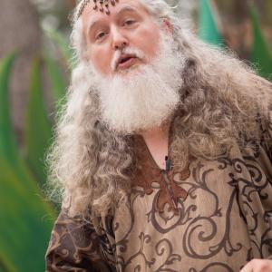 Mark Connelly Wilson as Merlin The Wise