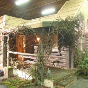 Grimm  Cabin Interior Stage