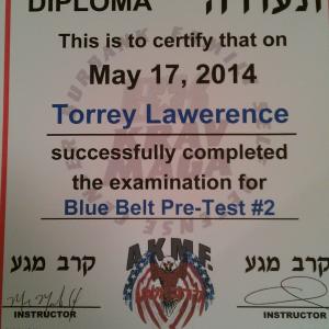 Torrey Lawrence Blue Belt Pre Test #2 Certification