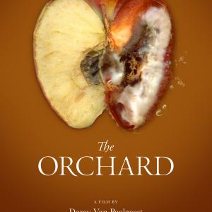 Official Poster for The Orchard