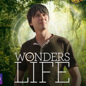 Brian Cox in Wonders of Life (2013)
