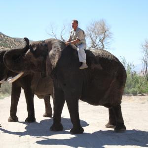 Andre Relentless Alexsen DirectorHostAnimal handler training rescue Elephants on set of my new TV show God Bless America and all our troops !