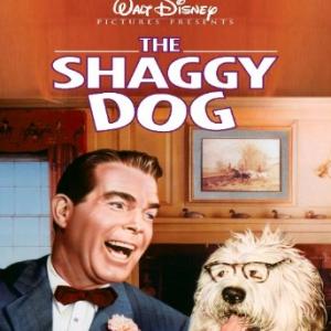 Fred MacMurray and Shaggy in The Shaggy Dog 1959