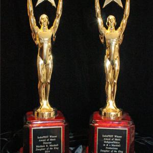Daughter of the King won two awards at the 2014 IndieFEST Film Awards. The production won Award of Merit: Religion / Ethics and Matthew Marshall won an Award of Merit: Director.