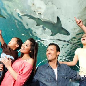 Sydney Aquarium billboard featuring Khanh