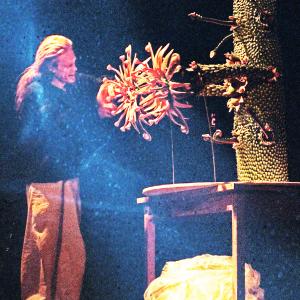 Animating the Seeing Serpent Tree Xmas 1997 Pictorial Forest This is an unaltered photo lightstreaked from a studio lamp