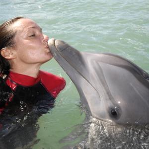 Bahamas dolphin training