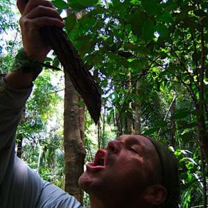 Life in the Jungle. Keith Neubert learns survival techniques from Mayan Bushmen in Central America.