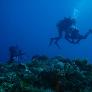 Drift diving in Cozumel, Mexico