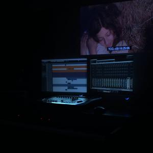 Scoring the film If The Trees Could Talk