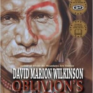 David Marion Wilkinson