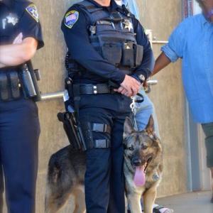 Real life Police Officer with SWAT and K9 experience