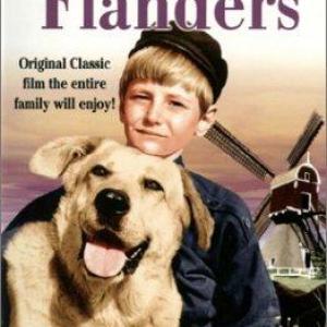 David Ladd and Spike in A Dog of Flanders (1959)