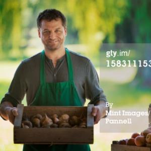 http://www.gettyimages.com/detail/photo/man-with-a-box-of-freshly-picked-fruit-royalty-free-image/158311153