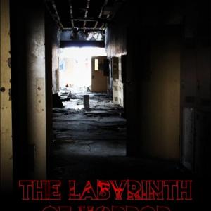 The Promotional poster for our first short film  The Labyrinth of Horror