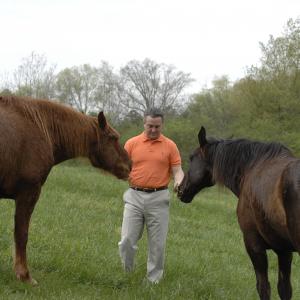 Tim Link with horses.