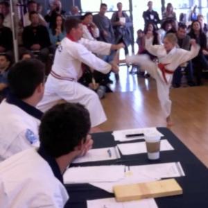 Emily kicking through a wooden board during a martial arts belt promotion test in April, 2012. She currently is a Green Belt in Tang Soo Do.