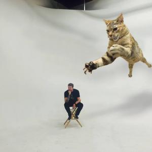 Tommy Maples & Studio Cat