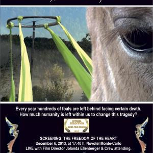 Jolanda Ellenberger's new short documentary THE FREEDOM OF THE HEART - THE FOAL STORY won the BEST HUMANITARIAN SHORT FILM ANGELS AWARD in Monaco on December 6, 2013 and the INDIE FEST AWARD OF MERIT on March 7, 2014.