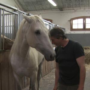 Jean-François Pignon and his Spanish stallion beeing close. The surrounding mares watching the two. Excerpt from Jolanda Ellenberger's documentary 