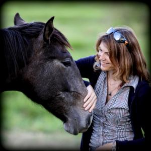 Lusitano Goya follows Film Director Jolanda Ellenberger on the pasture wherever she is going while filming in Brazil