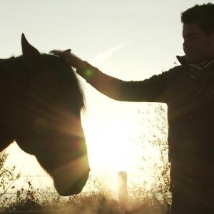 Documentary THE FREEDOM OF THE HEART. Sandro Hürzeler and Ronny the wonderful Swiss French Mountain Horse.